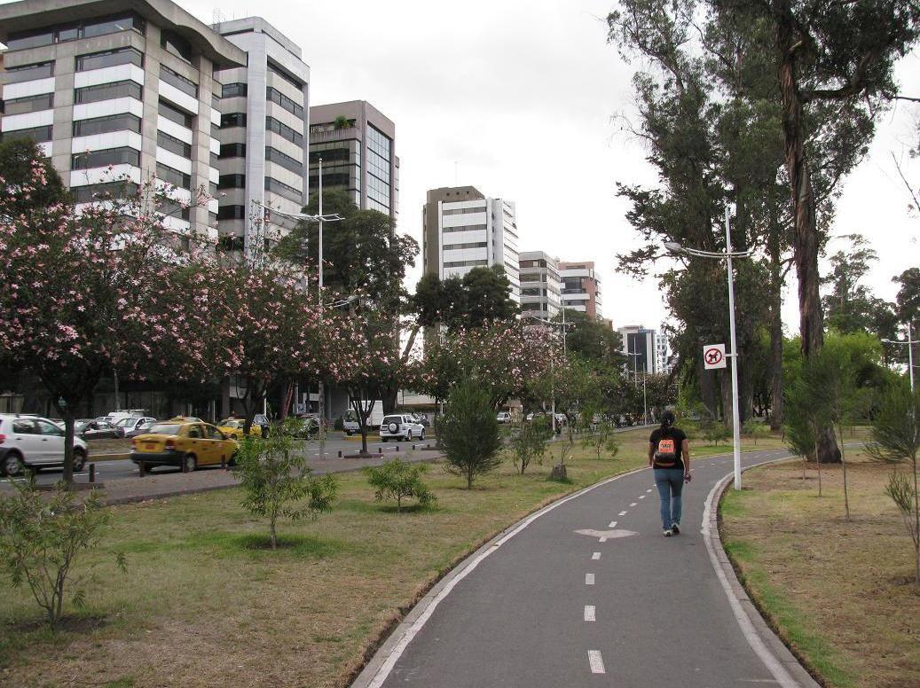 Imagen de la noticia: Jueza dictamina prisión preventiva para ciudadano que intentó asesinar a su pareja en parque de La Carolina en Quito.