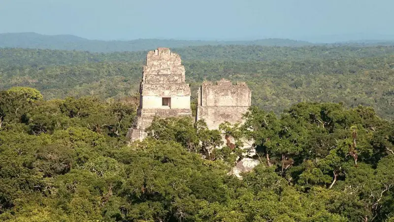 Imagen de la noticia: Cómo las ciudades mayas han sobrevivido durante más de un milenio en medio de la selva