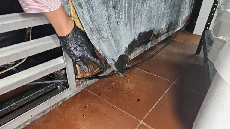 Imagen de la noticia: Clausuran restaurante por presencia de insectos en Guayaquil