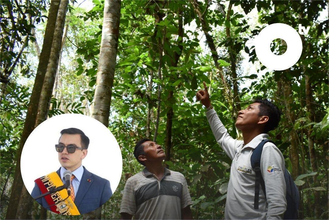 Imagen de la noticia: Daniel Noboa destina 460 millones de dólares para conservar la Amazonia