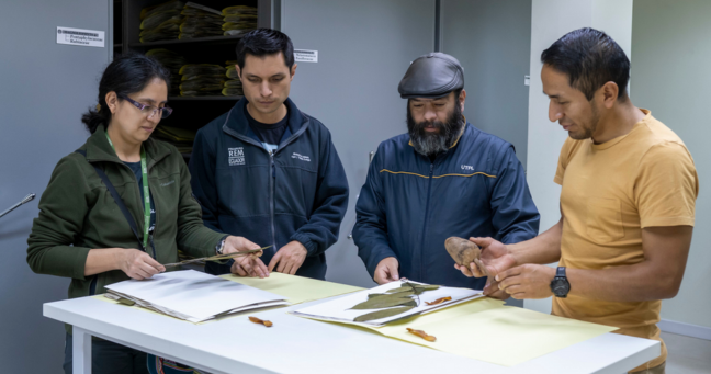 Imagen de la noticia: UTPL lidera estudio clave para la conservación de especies forestales en la Amazonía ecuatoriana