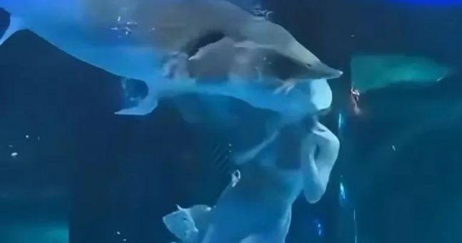 Imagen de la noticia: Pez gigante ataca a una artista en pleno show en acuario de China
