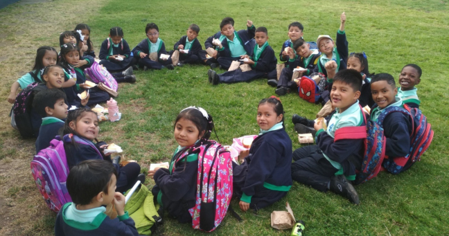 Imagen de la noticia: “Letra Para Todos”: 17 años transformando vidas a través de la educación gratuita en Calderón