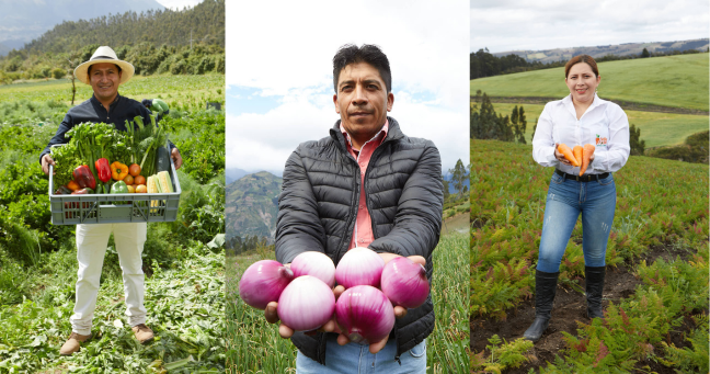 Imagen de la noticia: Productores de Valor: impulsando el desarrollo sostenible y el mejoramiento de la calidad de vida en el campo