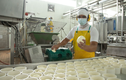 Imagen de la noticia: Queso Mozzarella Light y Deslactosado reflejó un crecimiento del 91% de volumen durante el 2024