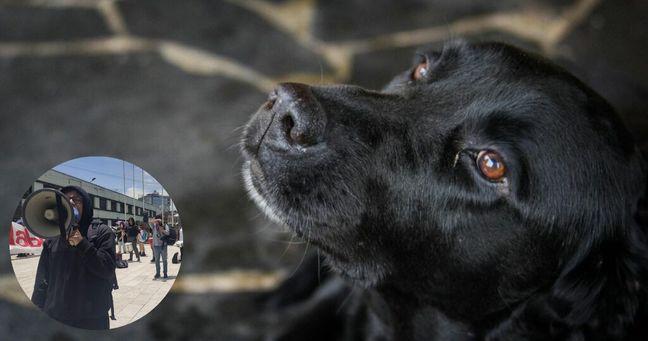 Imagen de la noticia: Abuso en universidad de Quito: denuncian ataque sexual a «negrita» y exigen sanciones