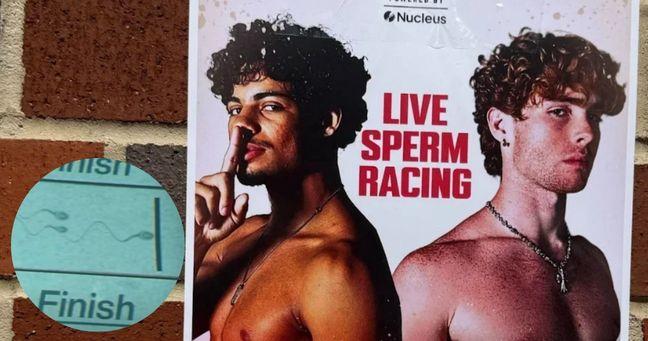 Imagen de la noticia: Organizan la primera carrera de espermatozoides en Estados Unidos: ¿Quién ganó?