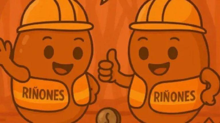 La historia de los hermanos riñones: el vídeo de TikTok que tiene a todos a tomando agua