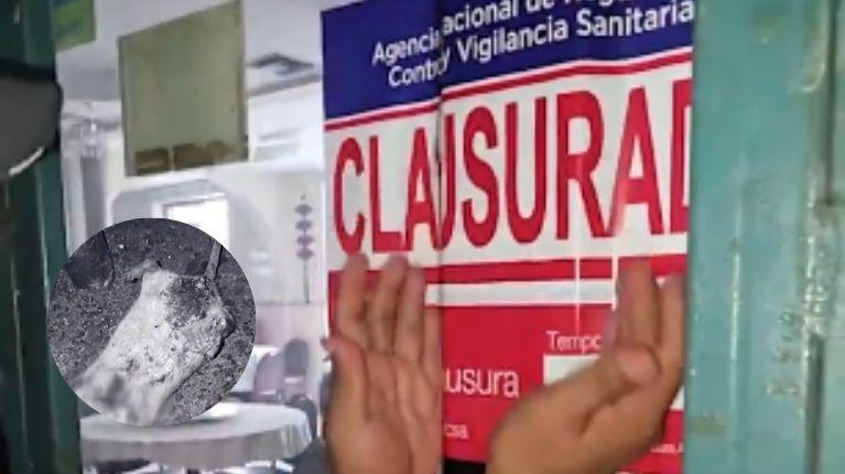 Arcsa clausuró chifa en Guayaquil por condiciones extremas de insalubridad: roedores y cucarachas deambulaban por la cocina