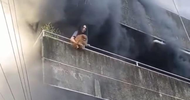 Mujer salva a sus mascotas durante voraz incendio