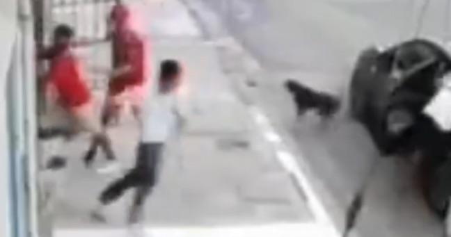 Dos perritos frustran intento de secuestro en Durán
