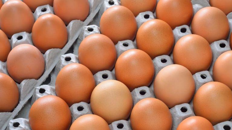 Baja el precio de la cubeta de huevos debido a la sobreproducción