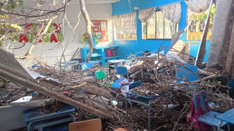 Árbol cayó sobre una escuela en Santa Elena, hay estudiantes heridos