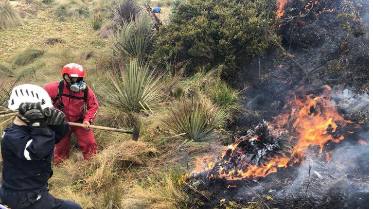 Probabilidad de incendios forestales en provincias de la Sierra y Amazonía