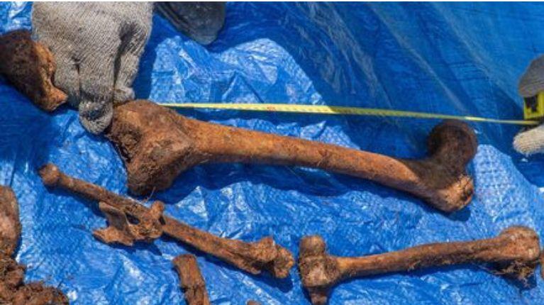 Más de 1.000 restos óseos hallados dentro de una unidad educativa, en Quito