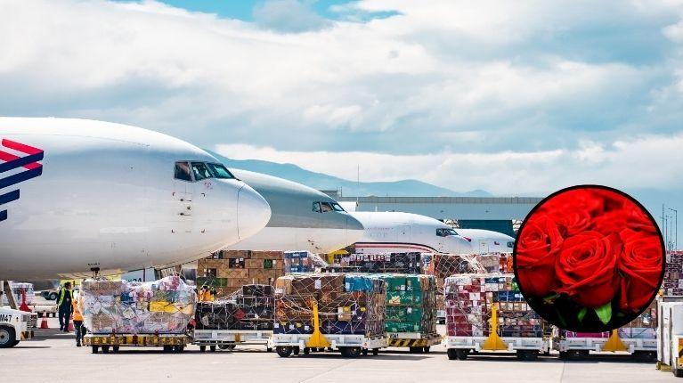 Imagen de la noticia: El amor sale desde Ecuador: este 20 de enero inicia la exportación de flores por San Valentín