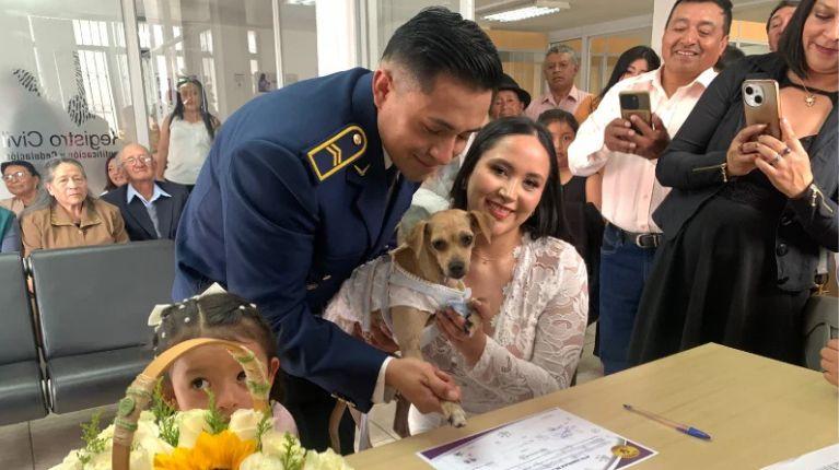 Bodas “Pet Friendly” en Ecuador: mascotas pueden ser testigos simbólicos