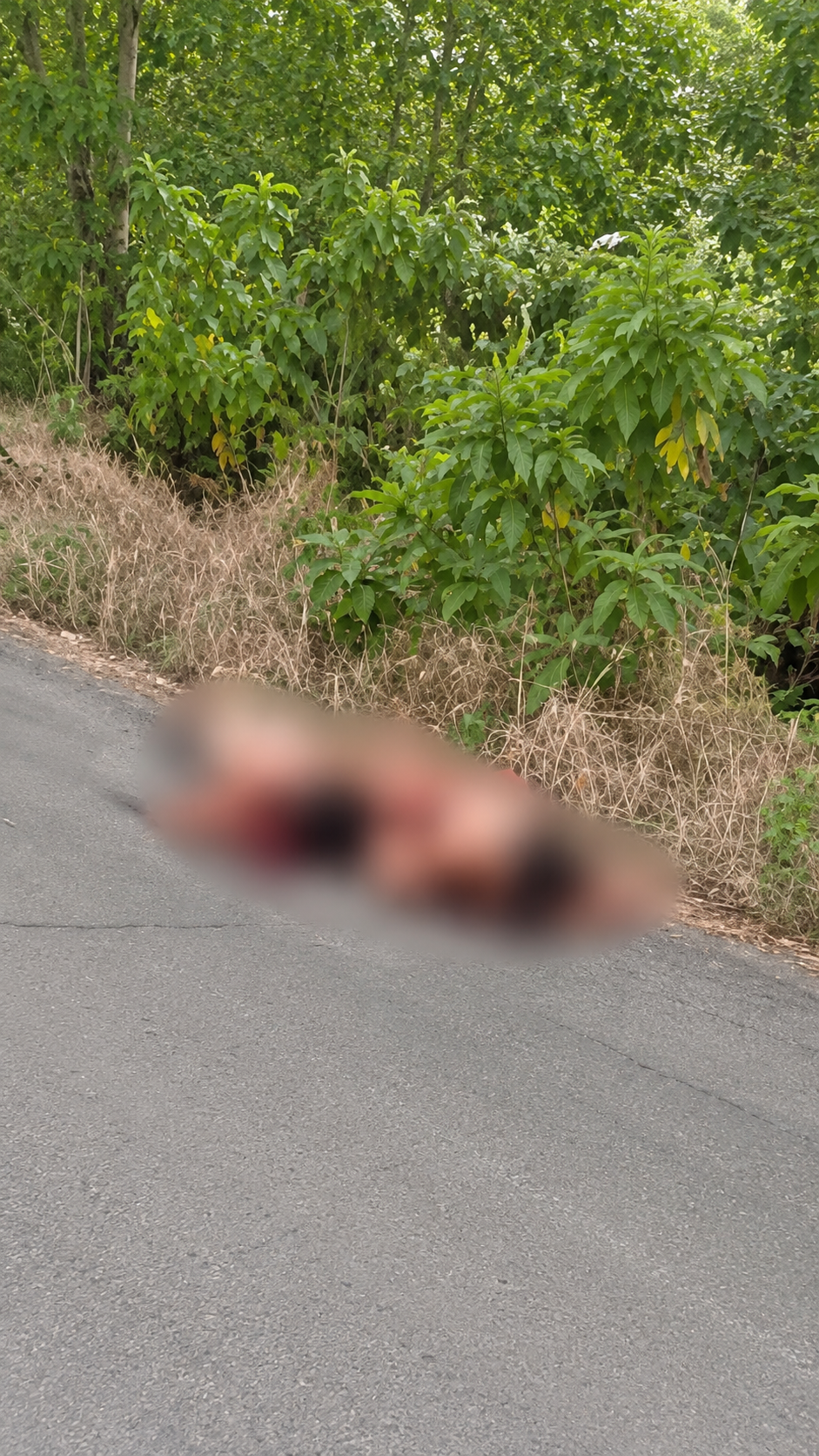Otro macabro hallazgo en Manabí: hombres son encontrados semidesnudos y asesinados en plena vía