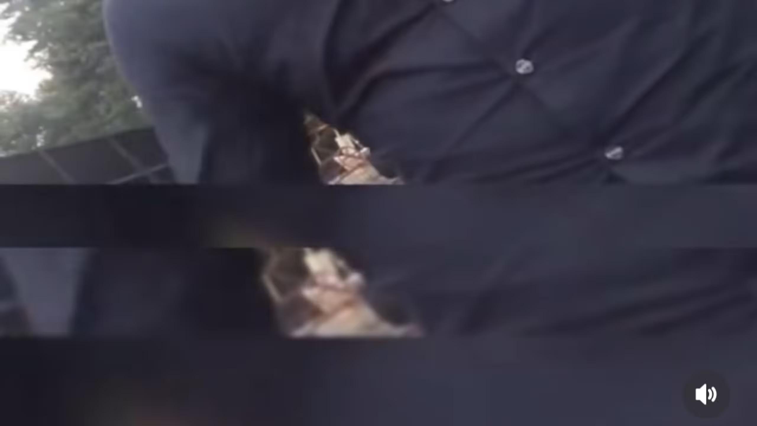 Video de Carlos José Matamoros con su expareja desata polémica